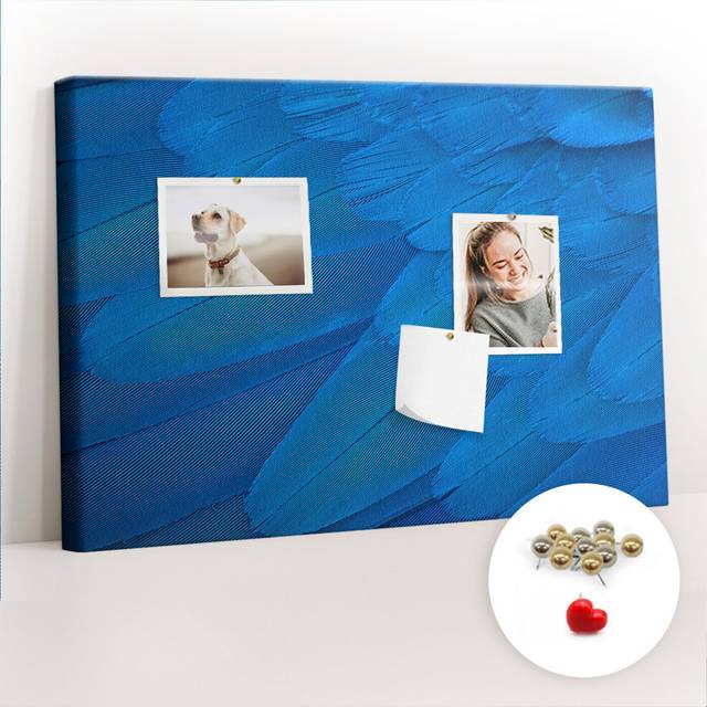 Maaida Wall Mounted Cork Board - Blue (40cm H X 60cm W X 2.5cm D)
