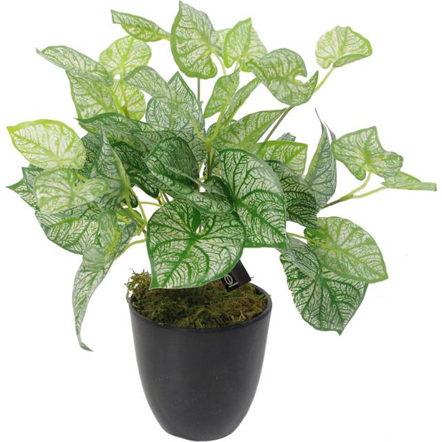 40cm Artificial Caladium Plant with pot