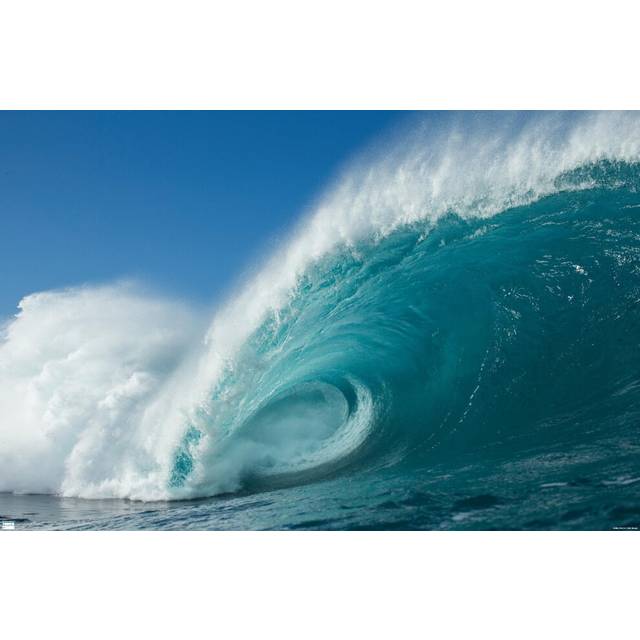 "Trends International Surfing - Rolling Wave Wall Poster  22.375"""""""" x 34""""""""  Premium Unframed Version"