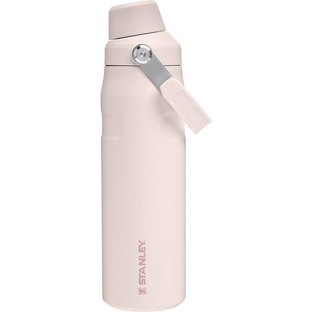 Stanley IceFlow Fast Flow Water Bottle 24 oz | Angled Spout Lid | Lightweight and Leakproof for Travel and Sports | Insulated Stainless Steel | BPA-Fr