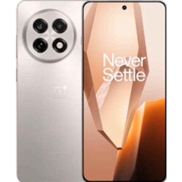 OnePlus 13R 5G Dual SIM 256GB 12GB RAM Grey