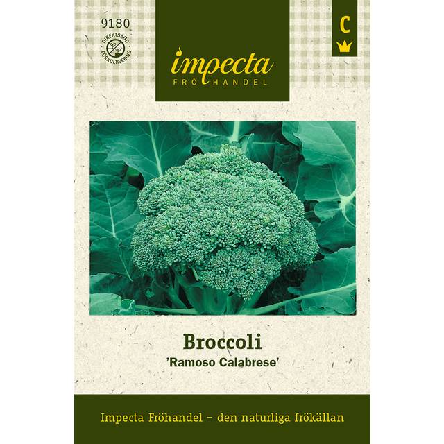 Broccoli Ramoso Calabrese