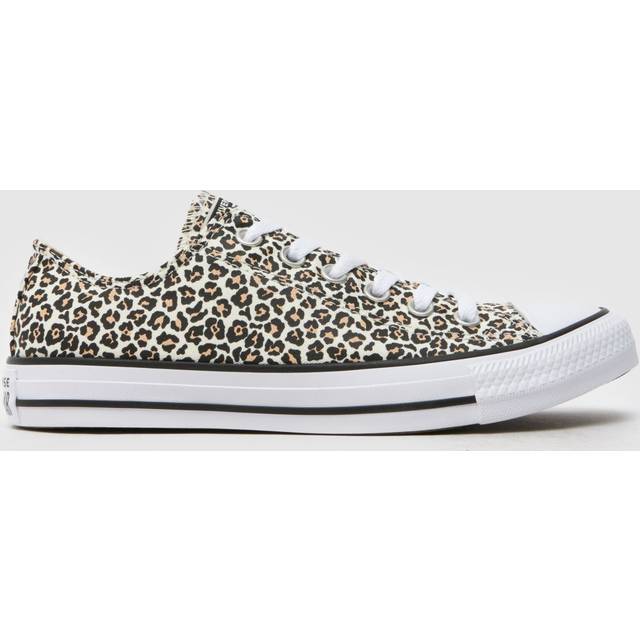 Converse All Star Ox Trainers in Print