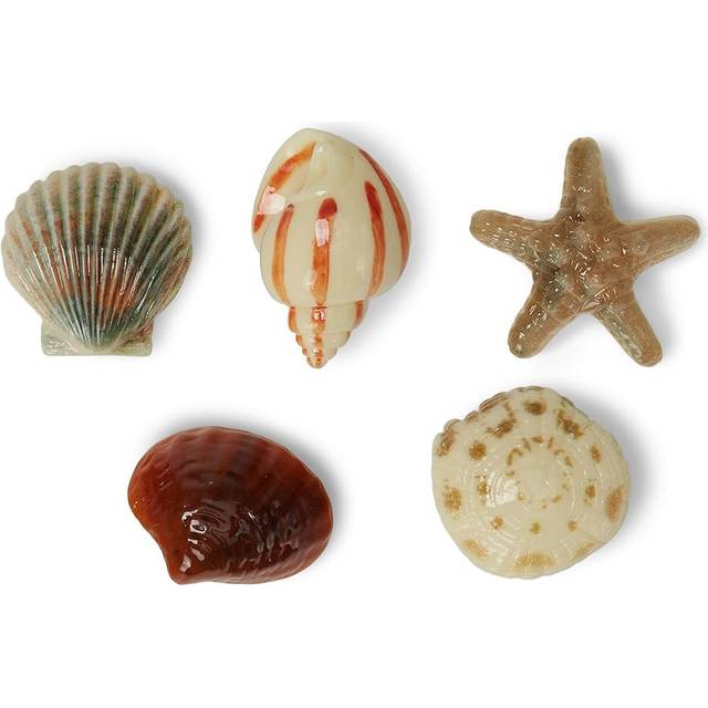 Crocs Beige Multi Jibbitz Sells Seashells 5 Pack