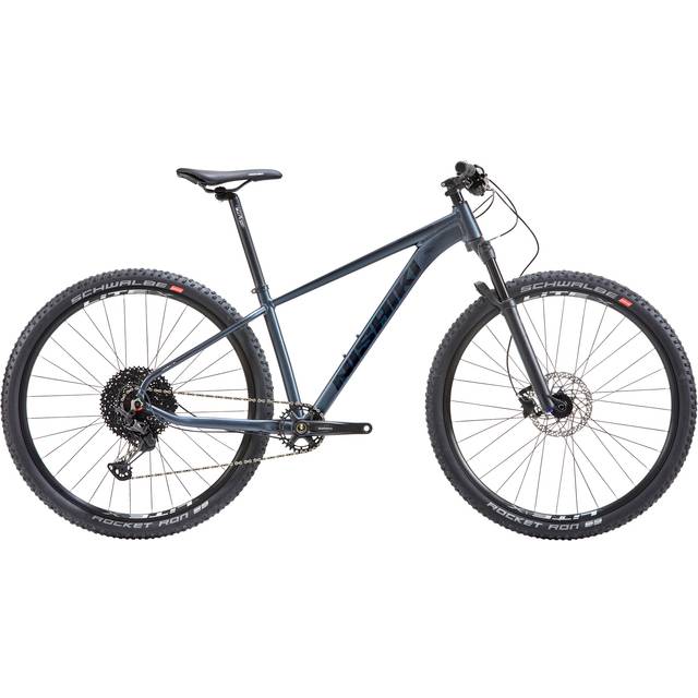 Nishiki Pinnacle 19