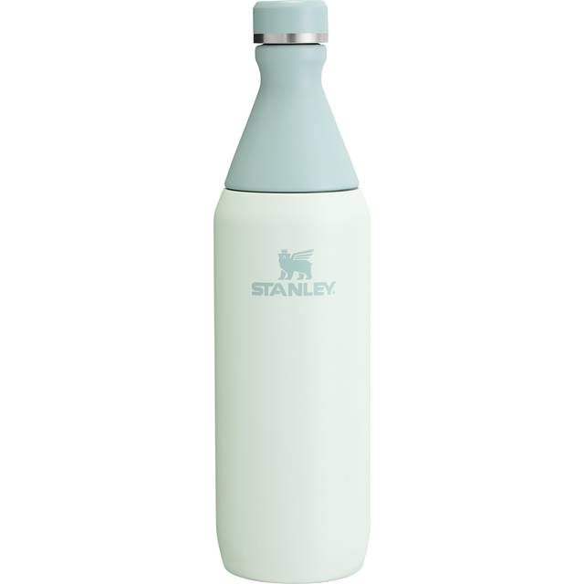 Stanley All Day Slim Bottle 20 OZ  Twist off Lid with Leakproof Seal  Slim Design for Travel  Gym  Insulated Stainless Steel