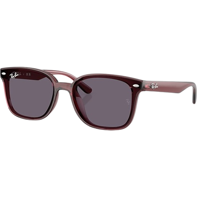 Ray - Ban Unisex RB4461D 659373 Solglasögon Nylon Brun Violett Fyrkantig Normal