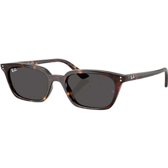 Ray - Ban Unisex RB4456 ZAYA 135987 Solglasögon Injicerad Sköldpadda Grå Pillow Normal