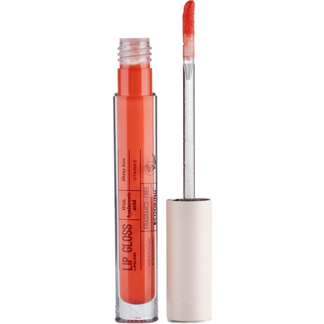 Ecooking Lip Gloss 06