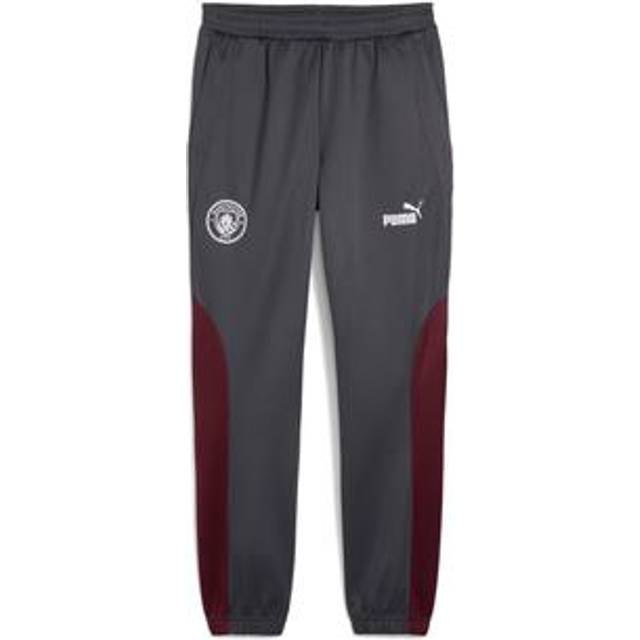 Men's Puma Manchester City ftbl NRGY+ Pants, Red, Size XS, Sport