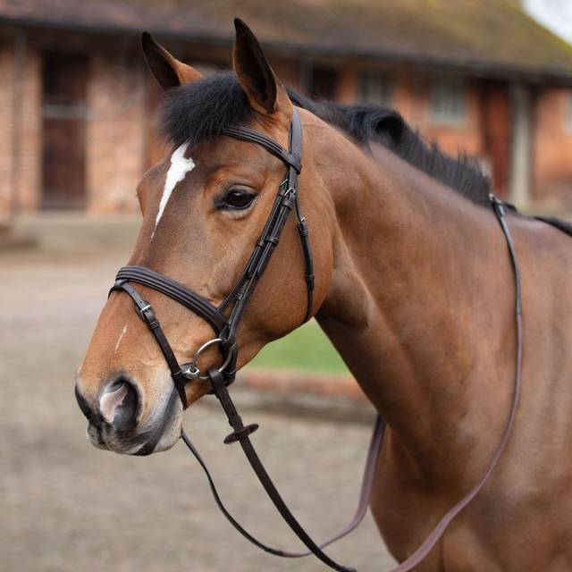 Mark Todd Double Raised Bridle - Full · Havana - Full · Havana