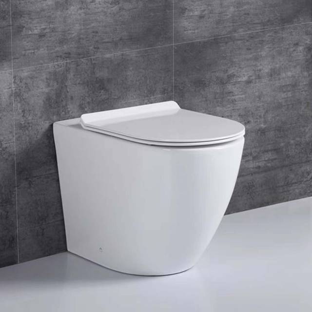 Rimless Back To Wall Toilet WC Ceramic Pan 455mm Raised Height Soft Close Seat