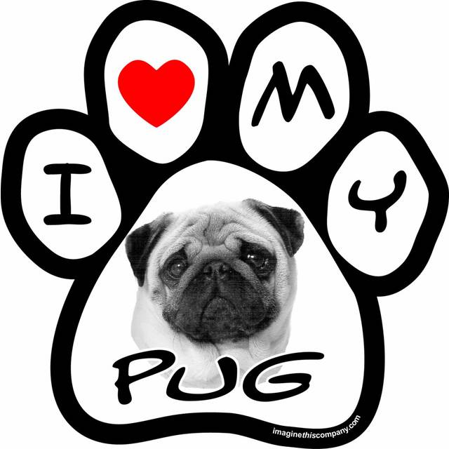 Imagine This 5-1/2-Inch by 5-1/2-Inch Car Magnet Picture Paw  Pug