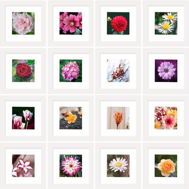 Golden State Art  6x6 White Photo Frame-Display Photos 4x4 with White Mat or 6x6 without Mat - Solid Wood  Real Glass  Set of 16 Wall Display