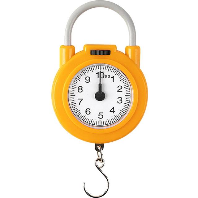 Handheld Scale High Accuracy Portable Kitchen Spring Scale 22lb Load Capacity Small Food Weighing blue