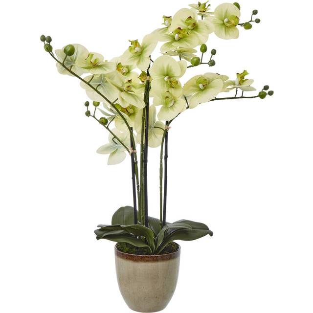 Arrangement in Pot - Green (77cm H X 62cm W X 50cm D)