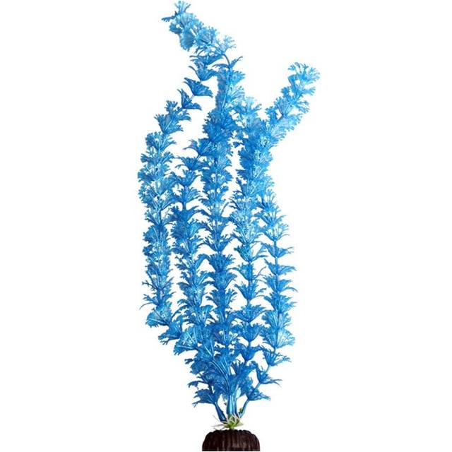 Aqua One Ecoscape Ambulia Blue 40cm