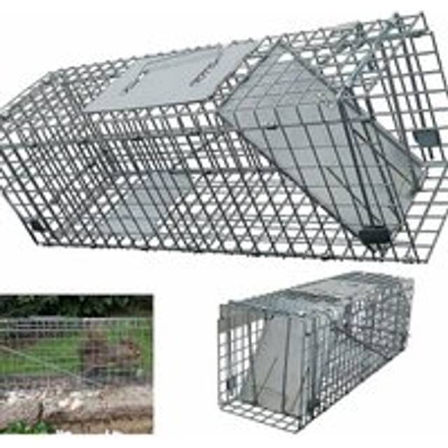Briefness - Large Metal Rat Cage Trap For Catching uk Grey Squirrels & Small Wildlife, Humane Rodent Live-Catch Trap, No Kill, Long Lasting Reliable