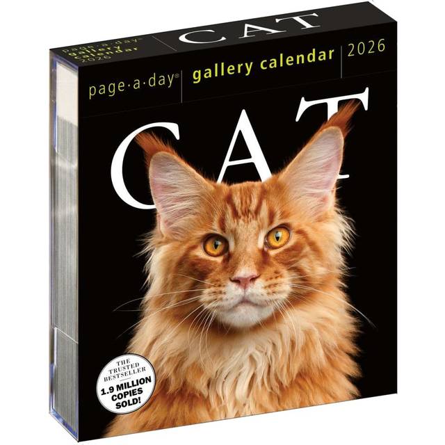 Cat Gallery 2026 Page-a-Day Desk Calendar
