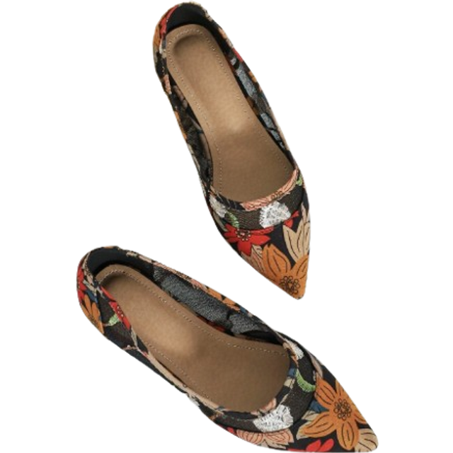 SHEIN Floral Pattern Embroidered Detail Point Toe Canvas Ballet Flats, Multicolored Fashionable Embroidered Flower & Printed Ballet Flats For Women