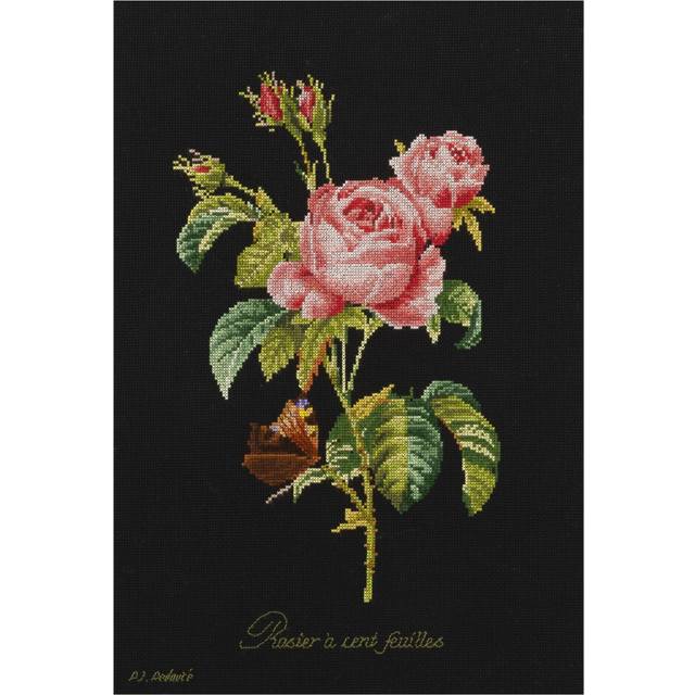 Thea Gouverneur - Counted Cross Stitch Kit - Rose Redout? - Aida Black - 18 count - Embroidery Kit for Adults - DMC Embroidery Threads and other Cross