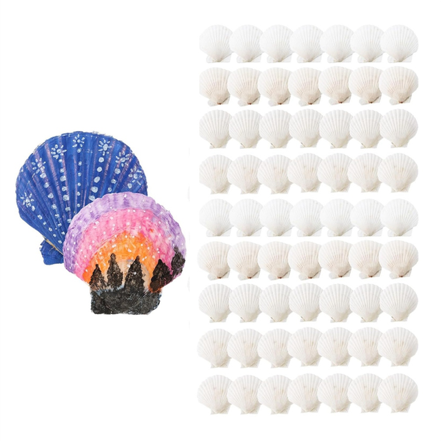 100 Pcs Sea Shell for Crafting Natural Large Scallop Shells White
