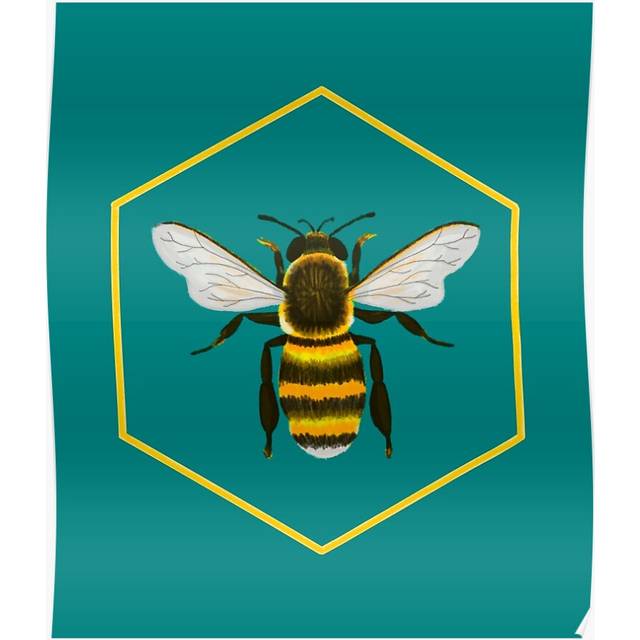 "(Bee Yourself! Cottage Home Print in Teal=2790) Posters 16x20"" or 18x18inch Wall Art Living Room Bedroom DÃ©cor Print"