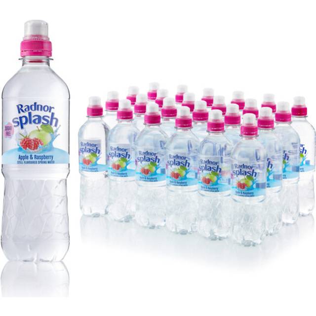 Radnor Hills Splash Still Water Apple Raspberry 500ml (Pack of 24)
