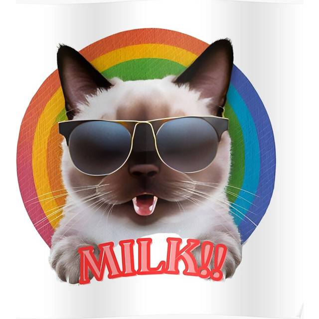 "(Siamese Cool Cat=5553) Posters 16x20"" or 18x18inch Wall Art Living Room Bedroom DÃ©cor Print"
