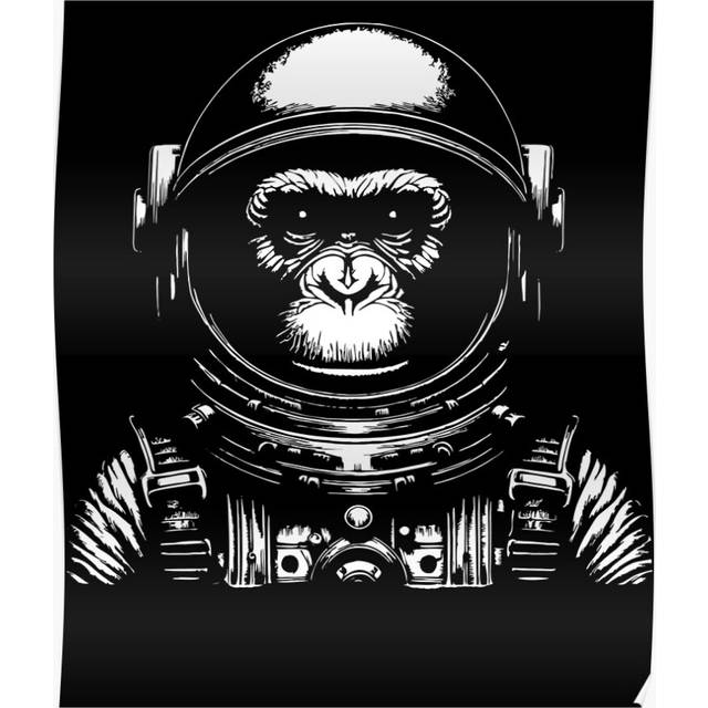 "(Vintage Space Travel Astronaut Monkey=245) Posters 16x20"" or 18x18inch Wall Art Living Room Bedroom DÃ©cor Print"