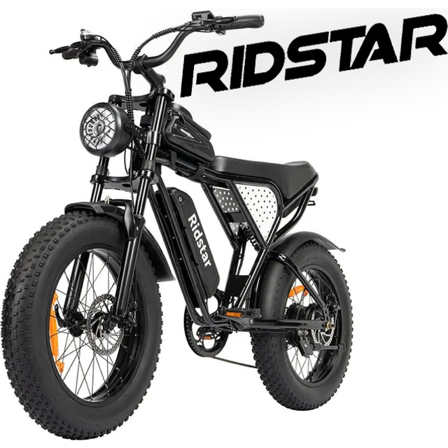 "RIDSTAR Q20 Mini Electric Bike 20"" Tires 1000W 48V 15Ah Battery"