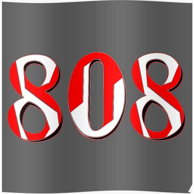 "(number eight hundred and eight digit 808 order sequence team member age=6446) Posters 16x20"" or 18x18inch Wall Art Living Room Bedroom DÃ©cor Print"