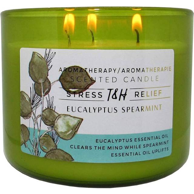 Eucalyptus Spearmint Aromatherapy 3-Wick Soy Scented Candle - 15.8 oz Large Candle for Men and Women - Long Lasting Decorative Gift