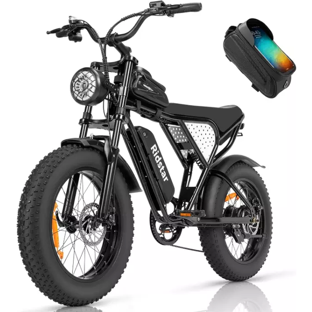 "RIDSTAR Q20 Mini Electric Bike 20"" Tires 1000W Motor 48V 15Ah Battery"
