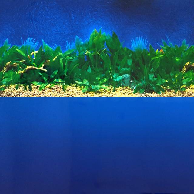 "(72) Deep Blue Sea / Amazon Waters Repeating Background - 12""h"