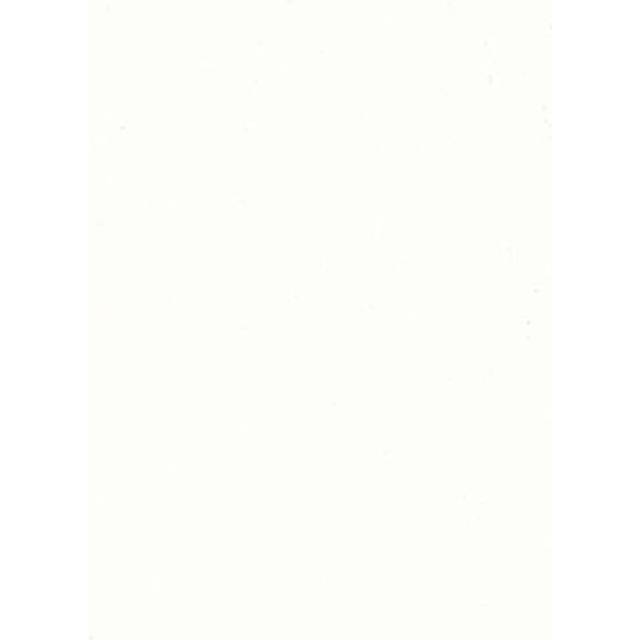 Islander 9177 Marine Grade Upholstery Vinyl Fabric, Brilliant White