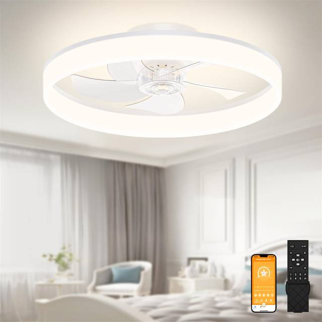Ceiling Fans With Lights Remote Control, 6 Speeds And Dimmable Modern Smart Ceiling Fan Light - Clear