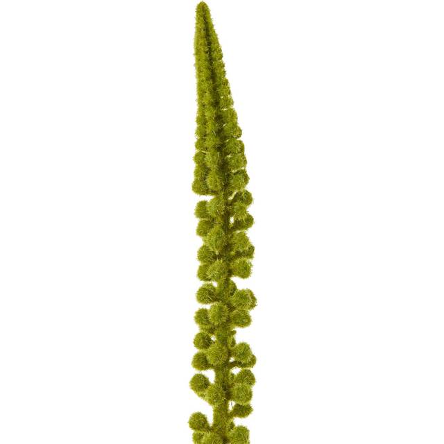 Eremurus Stem - Green (88cm H X 3cm W X 3cm D)