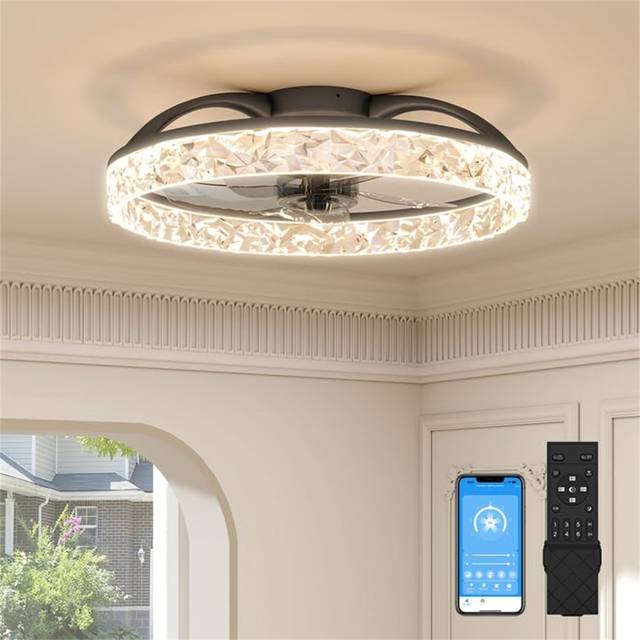 Ceiling Fans With Lights And Remote, Modern Smart LED Ceiling Fan Light - Black