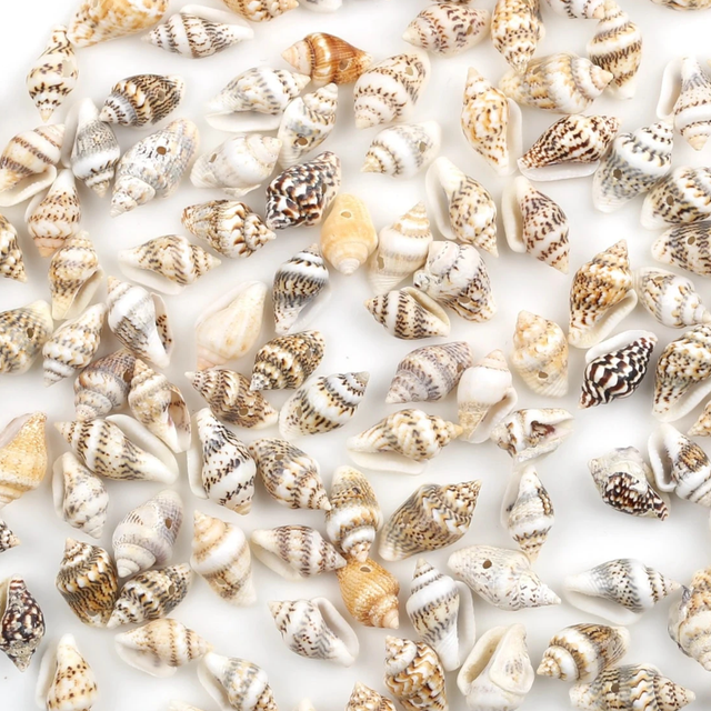SHEIN 30g/Set Fashion Shell Conch DIY Bead For Women For Jewelry Making Holiday
