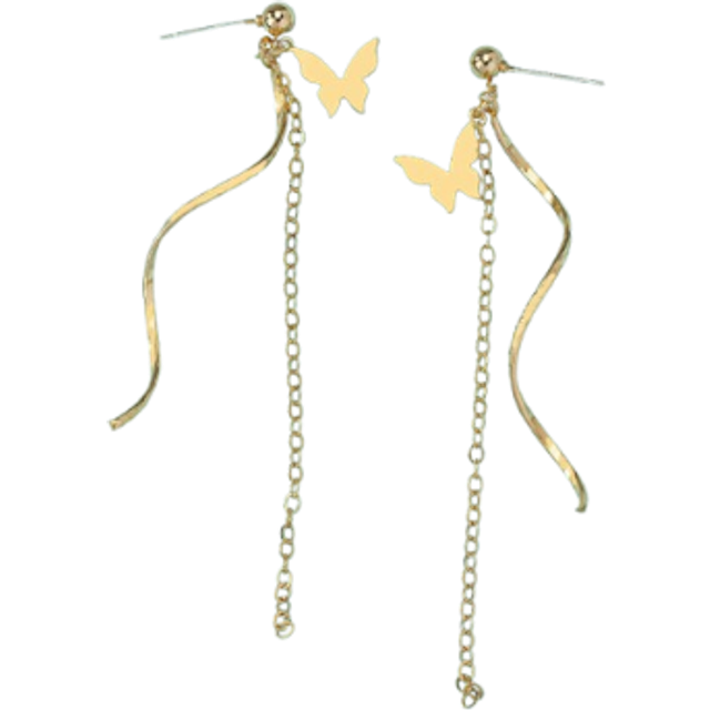 SHEIN 1pair Metallic Fringe Chain & Butterfly Drop Earrings, Wedding Gift