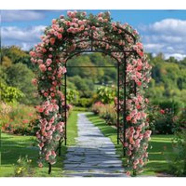 Unho - Rose Arch Metal Trellis Garden Archway Climbing Plants Vegetable Fruit Vine Arbour - Small 162 x 105 x 160cm