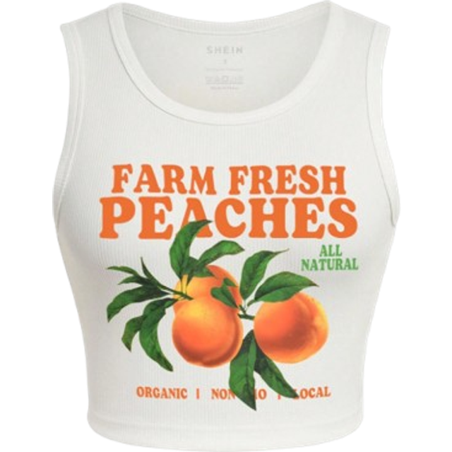 INAWLY Summer Casual Orange/Letter Printed Tank Top FARM FRESH PEACHES ORGANIC I NON 10 LOCAL