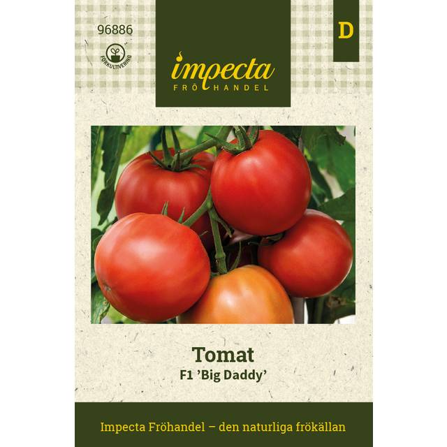 Tomat F1 Big Daddy