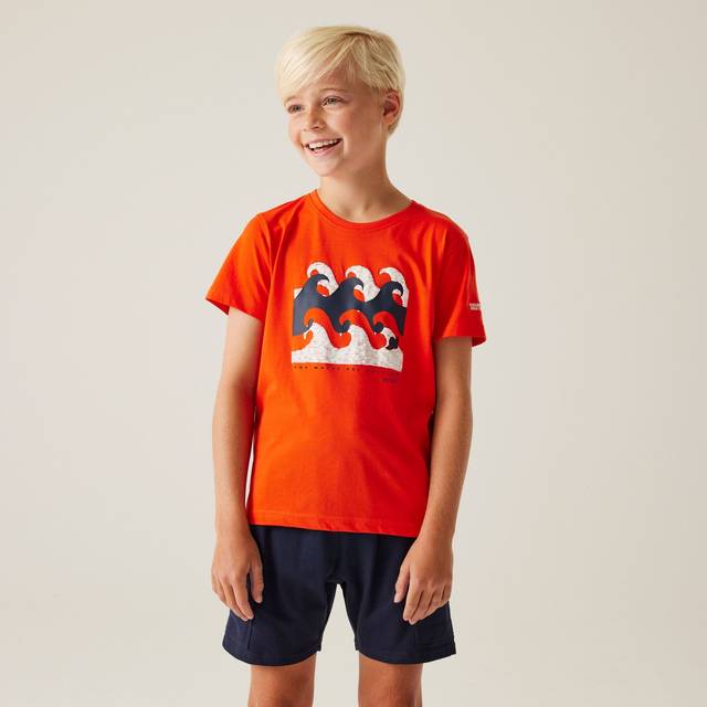 Regatta Boys Bosley VIII UV Protection Cotton T Shirt 15-16 Years - Chest 89-92cm (Height 170-176cm)