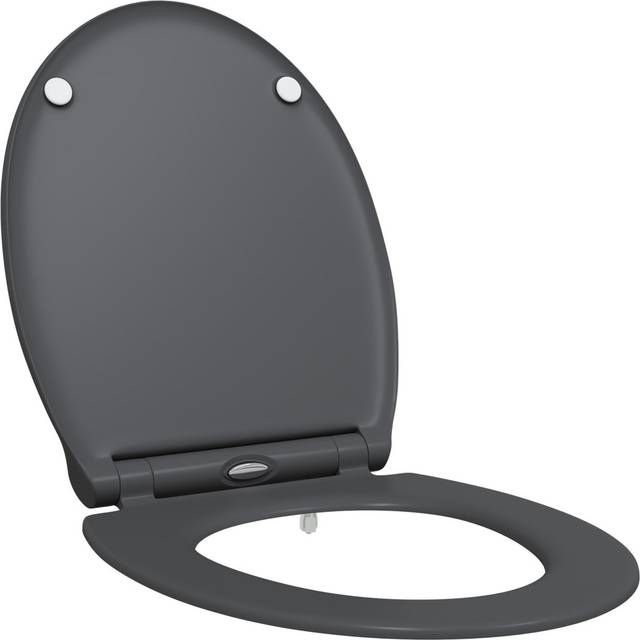 Anthracite Plastic Standard Adjustable Armrests Toilet Seat (37.5cm W X 45cm D)