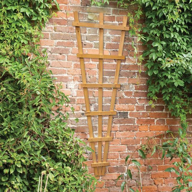 Fan Wall Trellis - Forest Garden