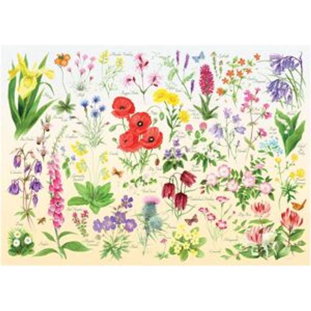 Wildflowers
