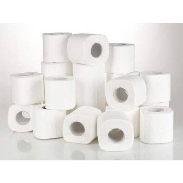 36 Jumbo Rolls of Soft Toilet Tissue Paper , Pure Virgin Pulp ,Soft 2 Ply , 320 Sheets Per Roll , Lrge Sheet Size 10 x 10 CMS , Pure White Paper