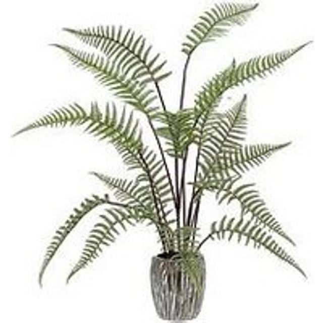Gallery Tall Fern In Textured Grey Ceramic Pot